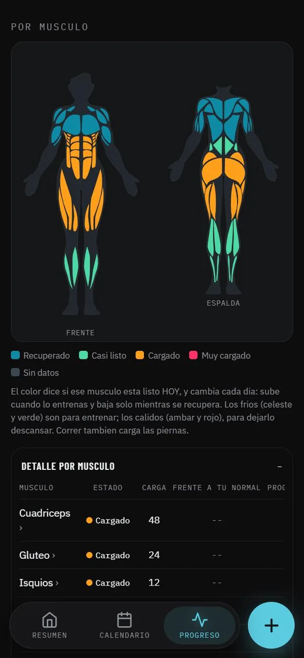 El mapa de músculos de Maipo, con el estado de recuperación de cada uno.